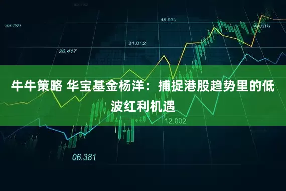 牛牛策略 华宝基金杨洋：捕捉港股趋势里的低波红利机遇