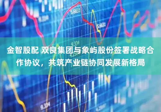 金智股配 双良集团与象屿股份签署战略合作协议，共筑产业链协同发展新格局
