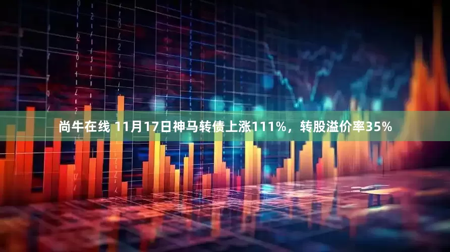 尚牛在线 11月17日神马转债上涨111%，转股溢价率35%